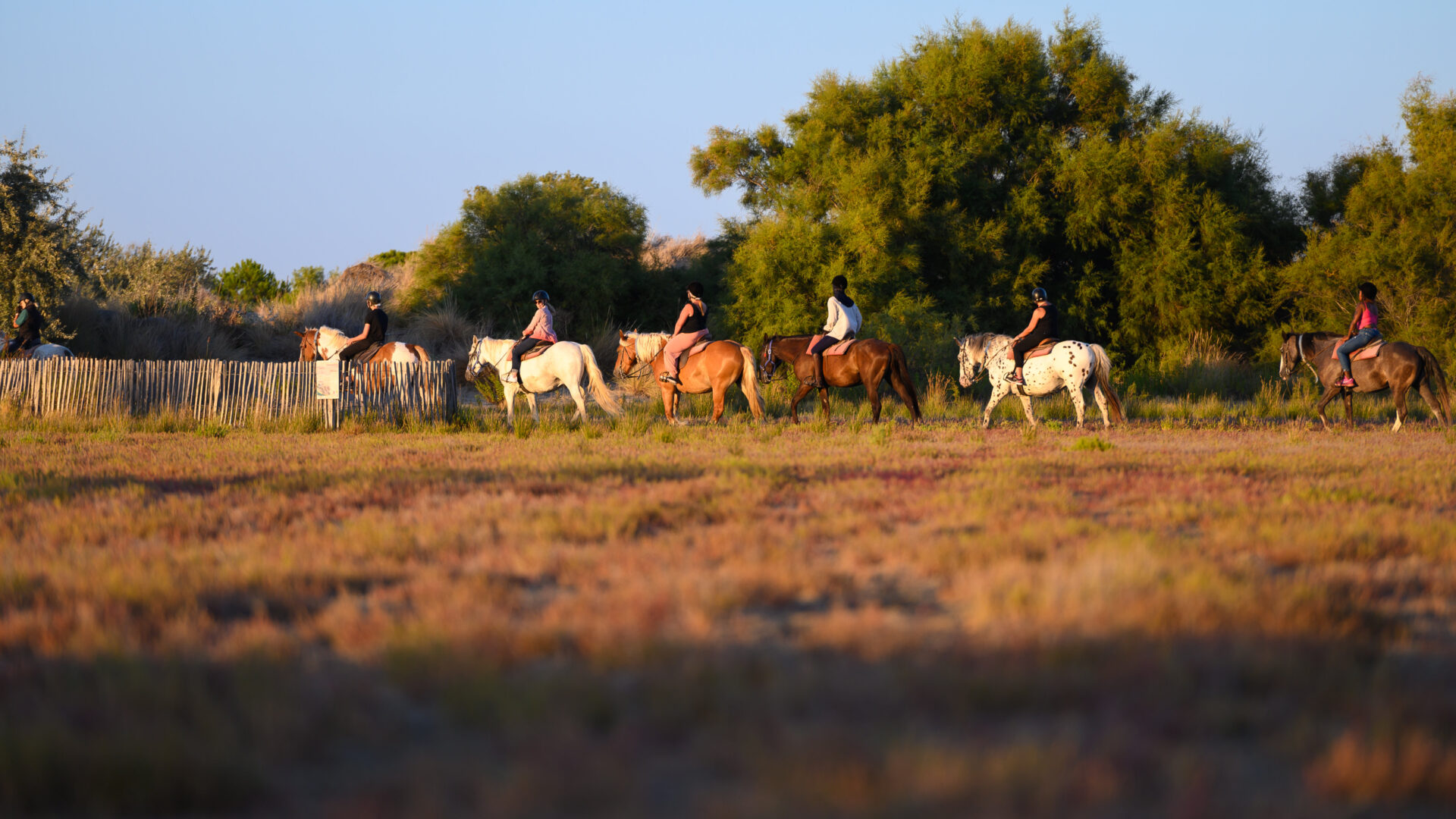Camargue Grau du Roi